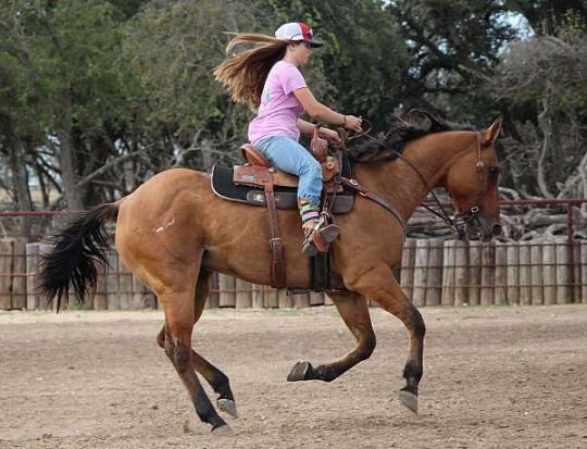 barron..-540x413