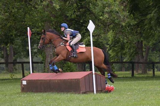 beginner-pony-540x359